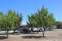 IMG_2094