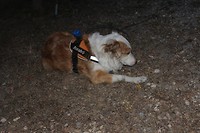 IMG_2097