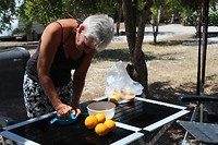 IMG_2102