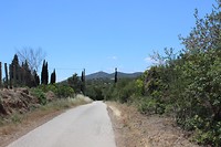 IMG_2103