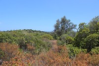IMG_2107