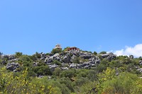 IMG_2109