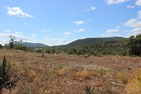 IMG_2130