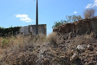 IMG_2131