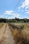 IMG_2135