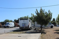 IMG_2141