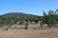 IMG_2136