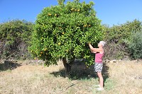 IMG_2138