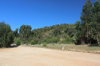 IMG_2147