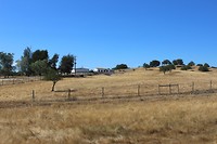 IMG_2150
