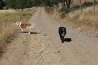 IMG_2152