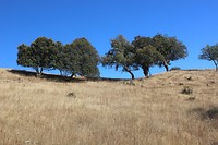 IMG_2159