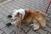 IMG_2162