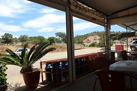 IMG_2163