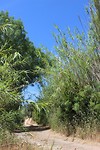IMG_2172