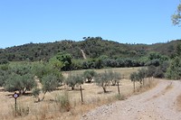 IMG_2173