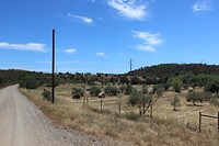 IMG_2174