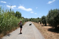 IMG_3366