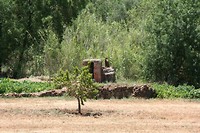 IMG_3371