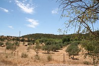 IMG_3373