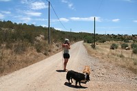 IMG_3374