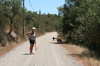 IMG_3375