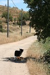 IMG_3378