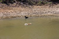 IMG_2188