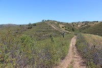 IMG_2194