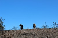 IMG_2197