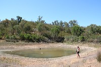 IMG_3379