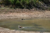 IMG_3380