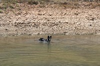 IMG_3381