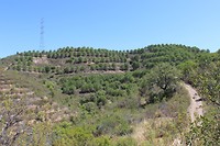 IMG_2199