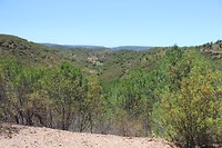 IMG_2200