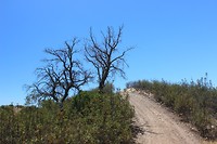 IMG_2201