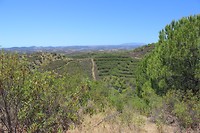IMG_2202