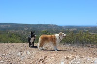 IMG_2203