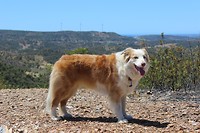 IMG_2205