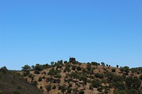 IMG_2208