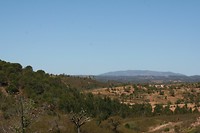 IMG_3384