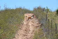 IMG_3385