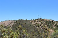 IMG_2209