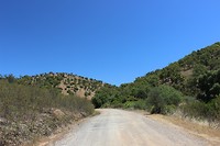 IMG_2211