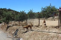 IMG_2212