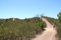 IMG_3387