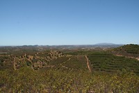 IMG_3388
