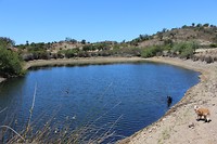 IMG_2217