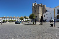 IMG_2223
