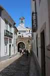IMG_2224